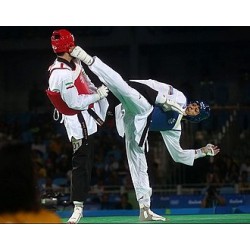 Taekwondo