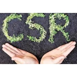 CSR commitment implementation