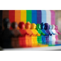 Inclusion & Diversity