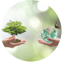 CSR Support